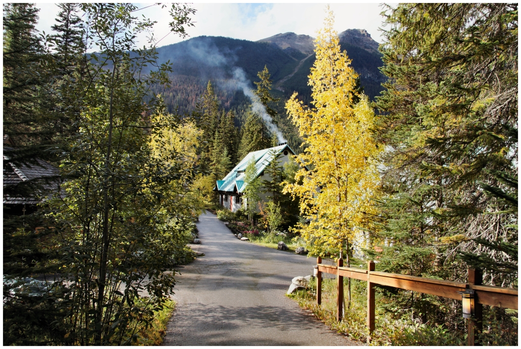 09 - Yoho NP (4).jpg